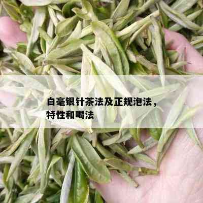 白毫银针茶法及正规泡法，特性和喝法