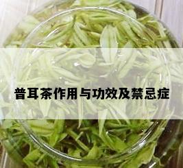 普耳茶作用与功效及禁忌症