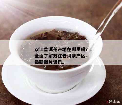 双江普洱茶产地在哪里呀？全面了解双江普洱茶产区，最新图片资讯。