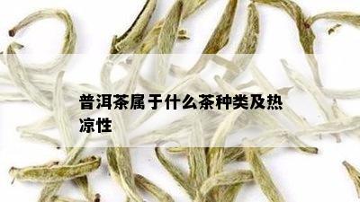 普洱茶属于什么茶种类及热凉性