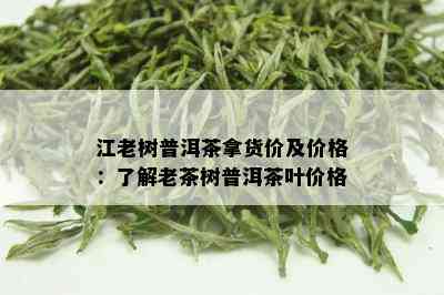 江老树普洱茶拿货价及价格：了解老茶树普洱茶叶价格