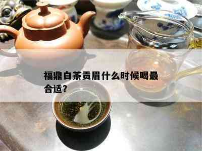 福鼎白茶贡眉什么时候喝最合适？