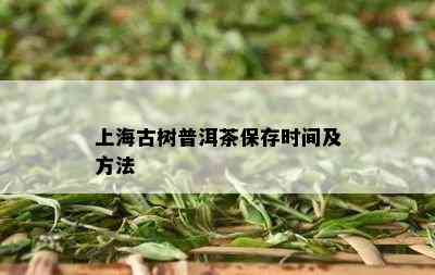 上海古树普洱茶保存时间及方法