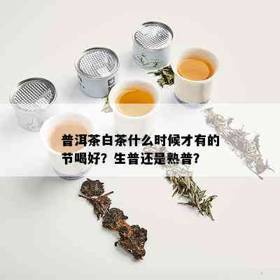 普洱茶白茶什么时候才有的节喝好？生普还是熟普？