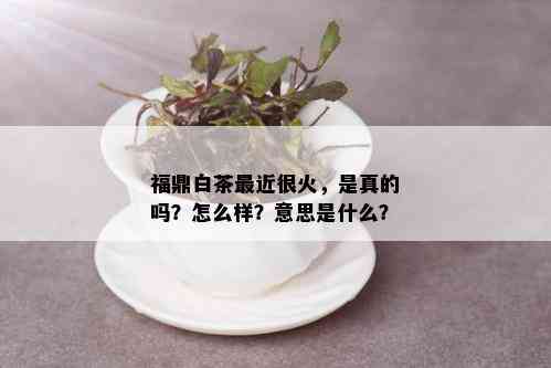 福鼎白茶最近很火，是真的吗？怎么样？意思是什么？