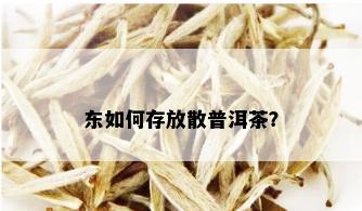 东如何存放散普洱茶？