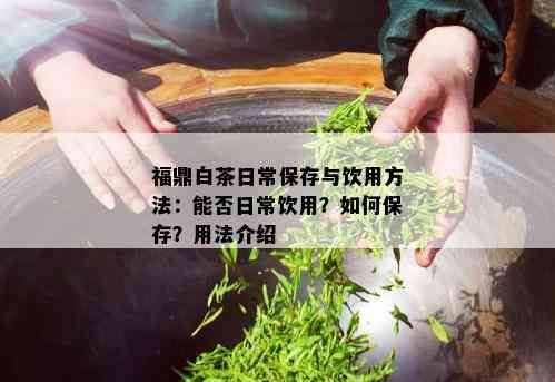 福鼎白茶日常保存与饮用方法：能否日常饮用？如何保存？用法介绍