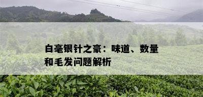 白毫银针之豪：味道、数量和毛发问题解析