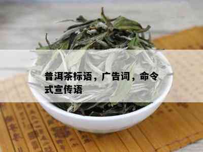 普洱茶标语，广告词，命令式宣传语