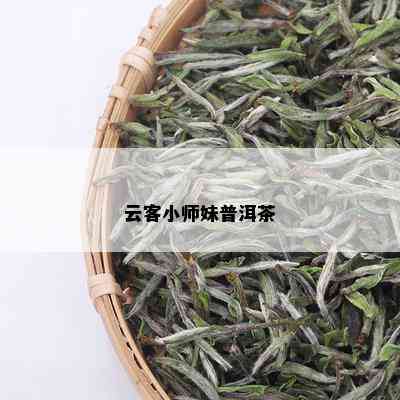 云客小师妹普洱茶