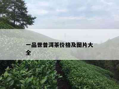 一品世普洱茶价格及图片大全