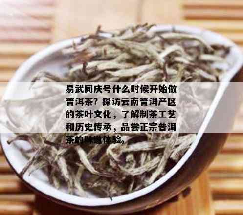 易武同庆号什么时候开始做普洱茶？探访云南普洱产区的茶叶文化，了解制茶工艺和历史传承，品尝正宗普洱茶的味道体验。