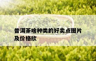 普洱茶啥种类的好卖点图片及价格欣