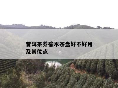 普洱茶养榆木茶盘好不好用及其优点