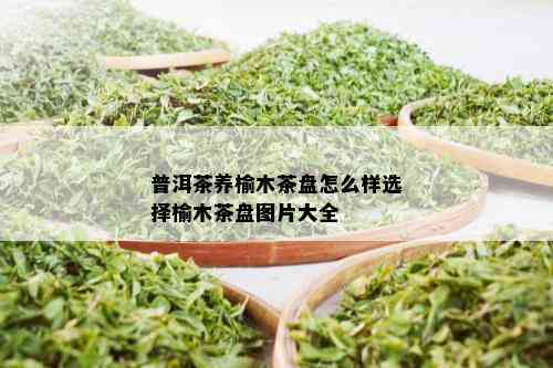 普洱茶养榆木茶盘怎么样选择榆木茶盘图片大全