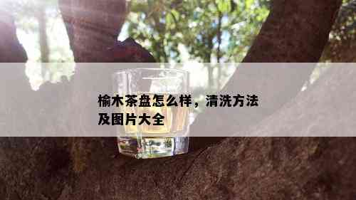 榆木茶盘怎么样，清洗方法及图片大全