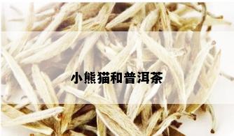 小熊猫和普洱茶