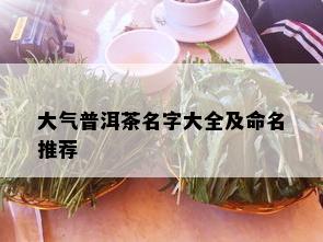 大气普洱茶名字大全及命名推荐