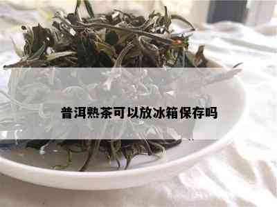 普洱熟茶可以放冰箱保存吗