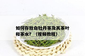 如何存放白牡丹茶及其茶叶和茶水？（视频教程）