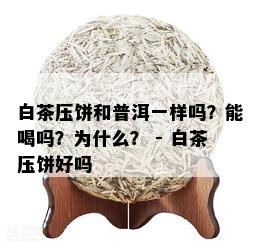 白茶压饼和普洱一样吗？能喝吗？为什么？ - 白茶压饼好吗