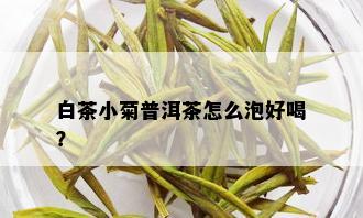 白茶小菊普洱茶怎么泡好喝？