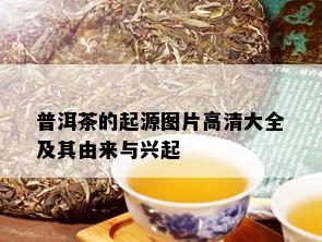 普洱茶的起源图片高清大全及其由来与兴起