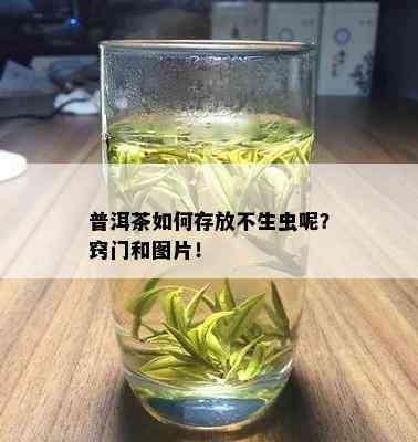 普洱茶如何存放不生虫呢？窍门和图片！