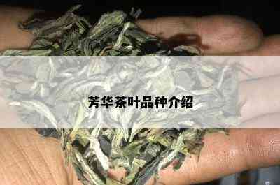 芳华茶叶品种介绍