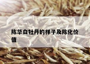 陈华白牡丹的样子及陈化价值