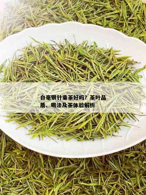 白毫银针乘茶好吗？茶叶品质、喝法及茶体验解析