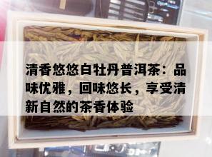 清香悠悠白牡丹普洱茶：品味优雅，回味悠长，享受清新自然的茶香体验