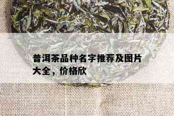 普洱茶品种名字推荐及图片大全，价格欣