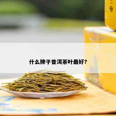 什么牌子普洱茶叶更好?