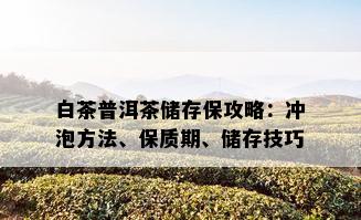 白茶普洱茶储存保攻略：冲泡方法、保质期、储存技巧