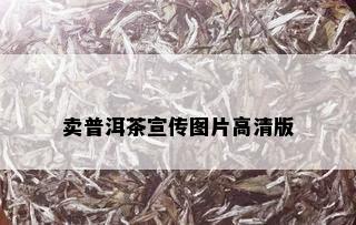 卖普洱茶宣传图片高清版