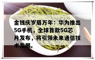 金钱庆岁眉万年：华为推出5G手机，全球首款5G芯片发布，将引领未来通信技术发展。