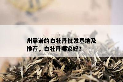 州靠谱的白牡丹批发基地及推荐，白牡丹哪家好？