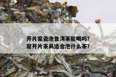 开片窑瓷泡普洱茶能喝吗？窑开片茶具适合泡什么茶？