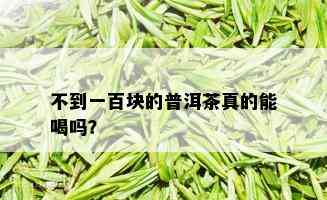 不到一百块的普洱茶真的能喝吗？