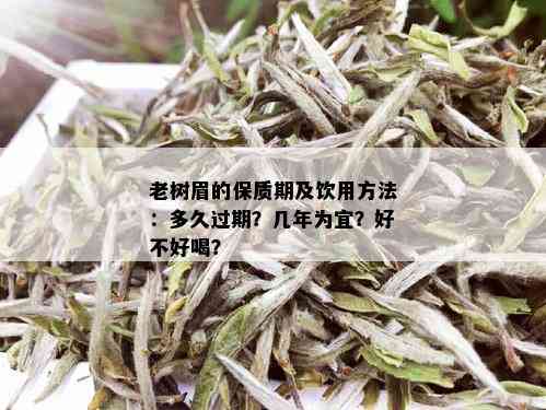 老树眉的保质期及饮用方法：多久过期？几年为宜？好不好喝？