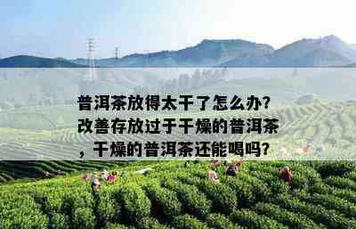 普洱茶放得太干了怎么办？改善存放过于干燥的普洱茶，干燥的普洱茶还能喝吗？