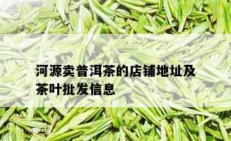 河源卖普洱茶的店铺地址及茶叶批发信息