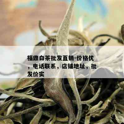 福鼎白茶批发直销-价格优，电话联系，店铺地址，批发价实