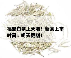 福鼎白茶上天啦！新茶上市时间，明天更甜！