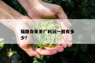 福鼎白茶茶厂利润一般有多少？