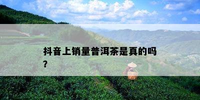 抖音上销量普洱茶是真的吗？