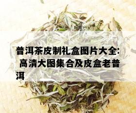 普洱茶皮制礼盒图片大全: 高清大图集合及皮盒老普洱