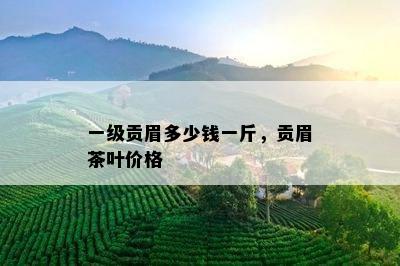 一级贡眉多少钱一斤，贡眉茶叶价格