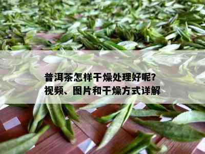 普洱茶怎样干燥处理好呢？视频、图片和干燥方式详解